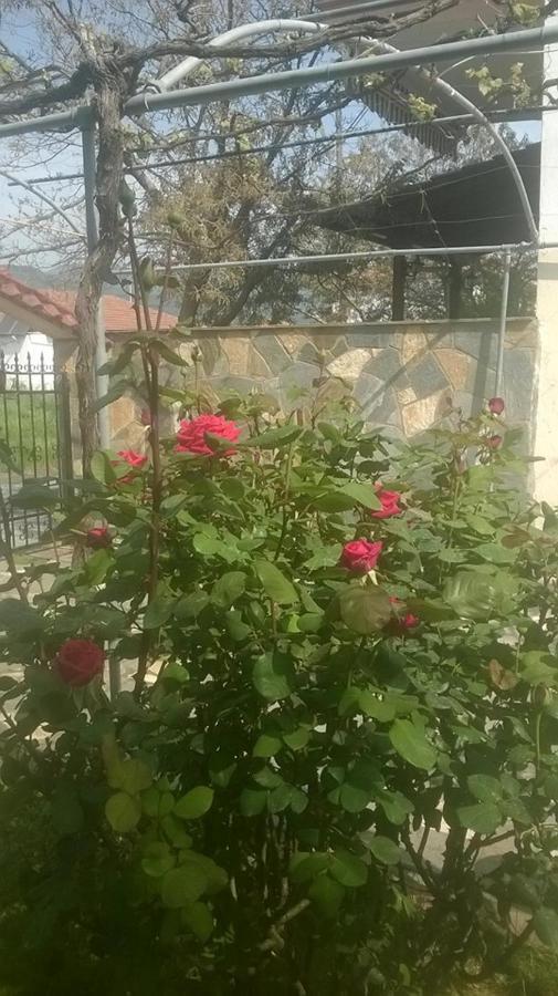 Villa Eleon 2 Vrasná Екстериор снимка